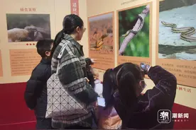 潮声丨博物馆里过大年，年味更有文化味图片
