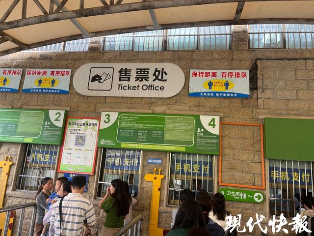 红山动物园调价前迎办卡高峰，市民争赶“80元年卡”末班车