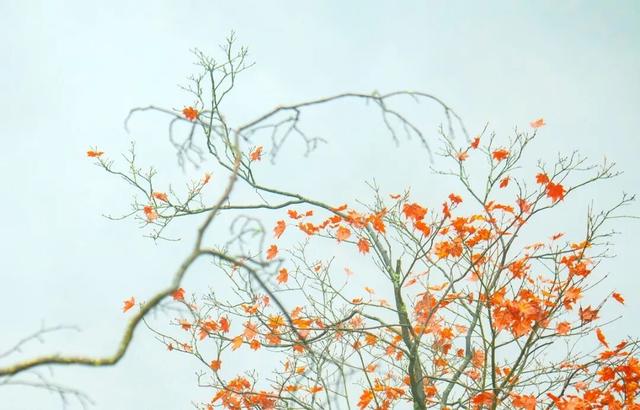 别等天晴了！雨天的秋日瓦屋，藏着你没见过的朦胧浪漫