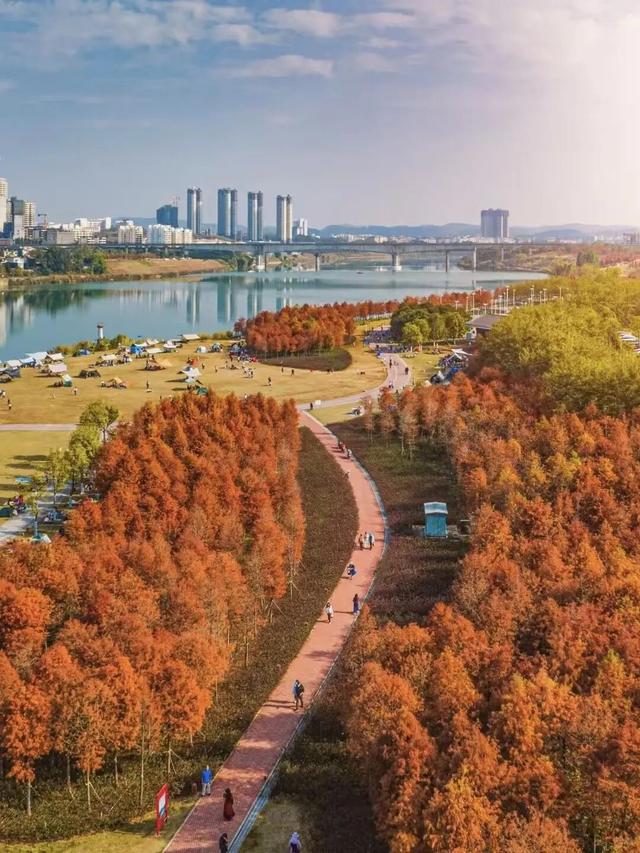 八桂秋韵！举起相机，把广西秋色拍成旅行基金！