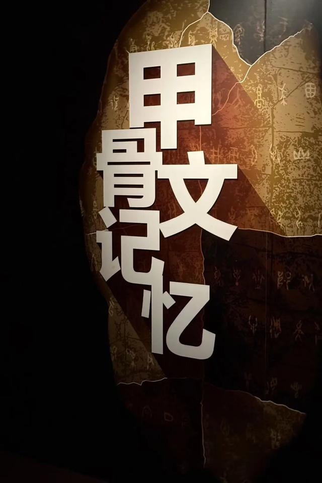 夏日海淀文艺一日游：紫竹院赏荷×国图看展攻略