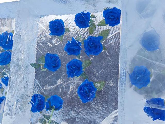 今日立冬|总有一个冬天 要来趟净月潭