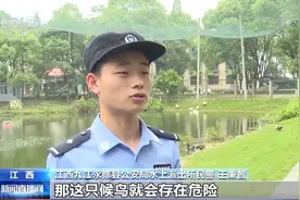 年幼白鹤受伤被困 警民联手及时救助图片