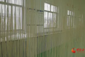 崇信：小挂面大产业助力乡村振兴发展图片