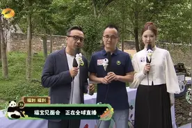 大熊猫福宝回国首次公开亮相后，“福宝的新居日记”慢直播上线图片