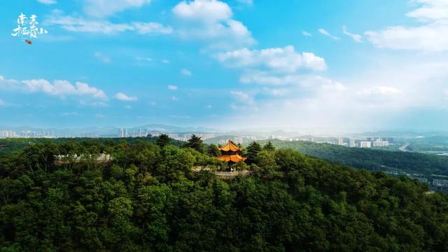 来听我们讲历史，免费！