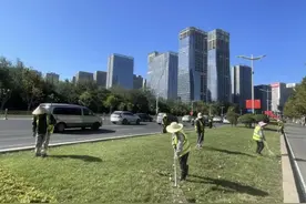 济南市园林和林业绿化局：园林在岗 扮靓泉城图片
