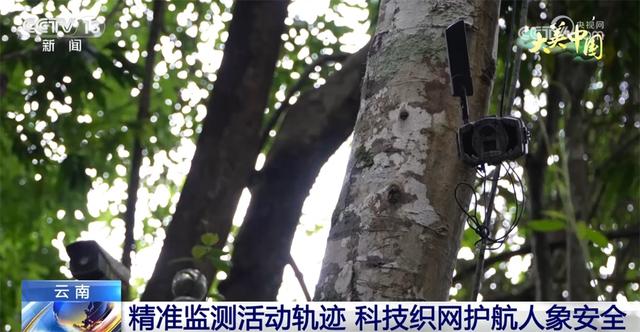 点“绿”成金让生态“颜值”变为文旅“价值” 夏日经济迸发新活力