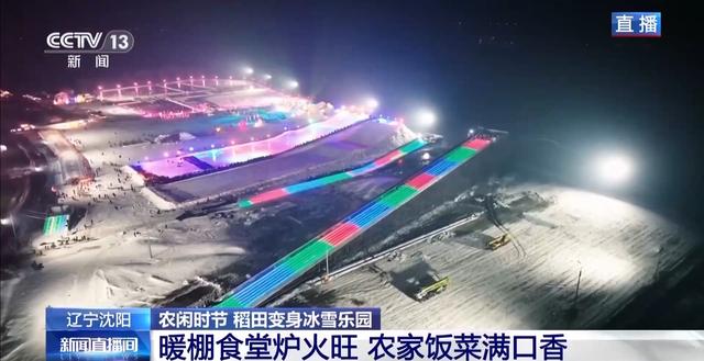 稻田变身冰雪乐园 多种趣味玩法邀你驰骋雪场