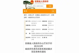 明确了！安徽这两个项目，由省长联系推进图片