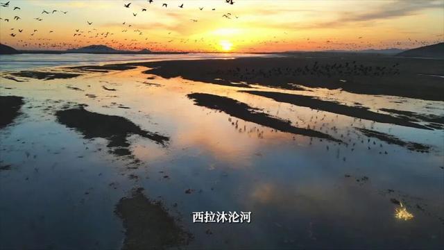 西拉沐沦河畔的石榴花