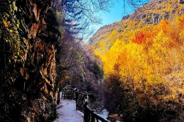 学习强国 | 河北蔚县：山色斑斓别样美