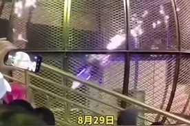马戏团摩托表演突然起火，2名车手铁笼中被火焰包围，观众焦急大喊“快救他”图片