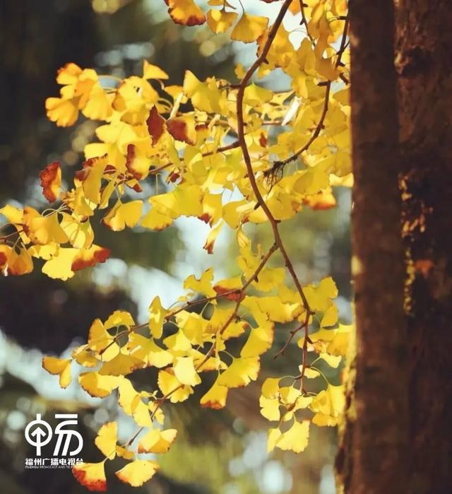 红了！红了！不少人都出动了...