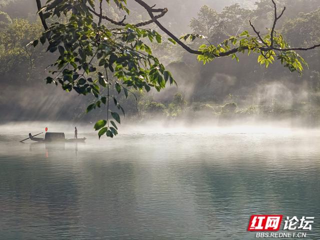 【每日一图@湖南】未醒的天，轻纱般的雾，温柔了整条资兴小东江