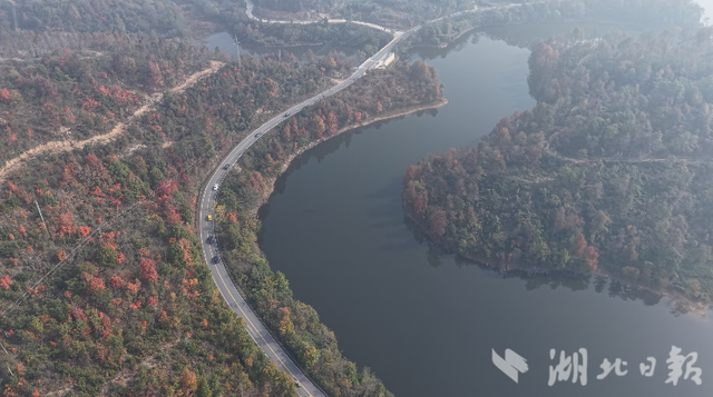 大悟：红叶映山秋意浓   层林尽染引客来