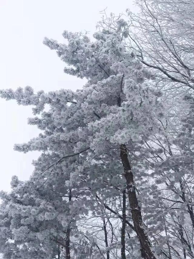 “冬游保康”,藏着整个冬天的浪漫与温暖