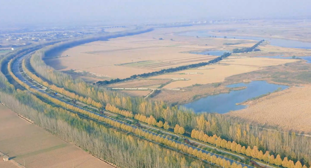 临潼河堤路的冬，是美拉德色系的极致浪漫→