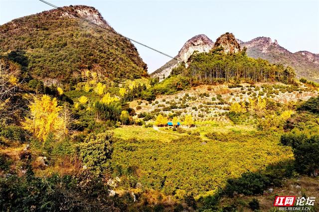 瑶乡秘境里，偷得浮生半日闲