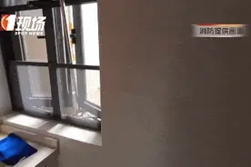 太吓人！深圳16天接警232宗！“抓不完，根本抓不完……”图片