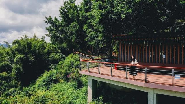 谁说市区没有神仙徒步线？绝美湖岸绿道太香了！