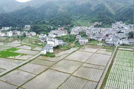 瞰江西！乡村田园好风光 绿水青山美如画图片