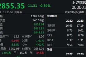 题材股逐步活跃，沪指半日收跌0.39%图片