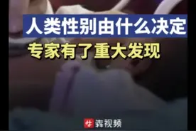 人类性别由什么决定？专家有了重大发现图片