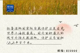 铸牢共同体 中华一家亲｜这些从拉萨寄出的明信片，你收到了吗？图片