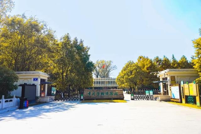 全省推荐！过年来宿迁！