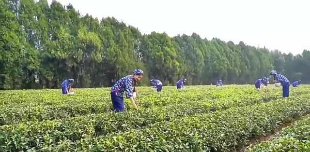 快来打卡！在日照，遇见“煤”好！