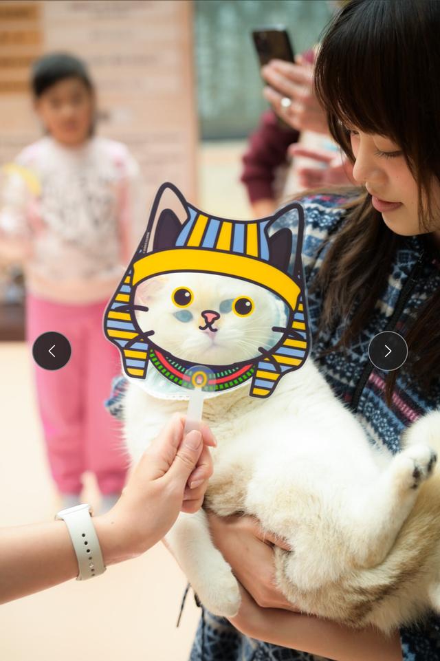 去佛山岭南天地邂逅“埃及猫”