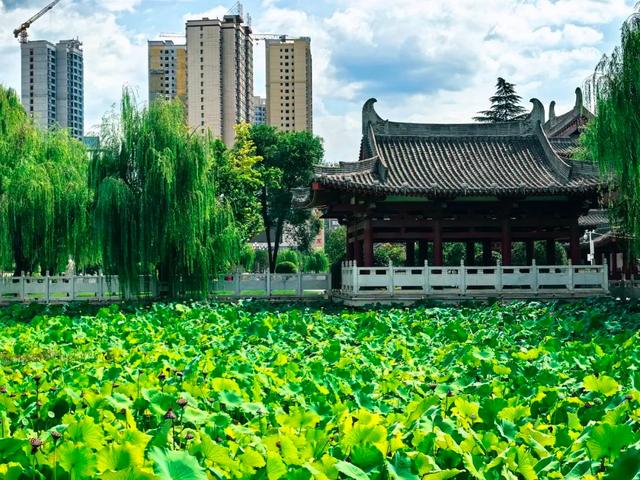 莲湖公园：一池碧水映千年