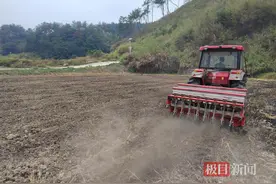 深山“田地拾荒人”阚洪明：“巴掌田”里寻“粮”机图片