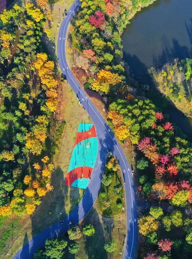 别眨眼，接下来的新干是这样的→