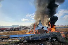 韩国客机冲出跑道179人遇难，为何与飞鸟相撞会导致飞机坠毁图片