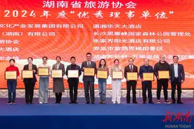 湖南省旅游协会成立研学实践分会、数智文旅分会图片