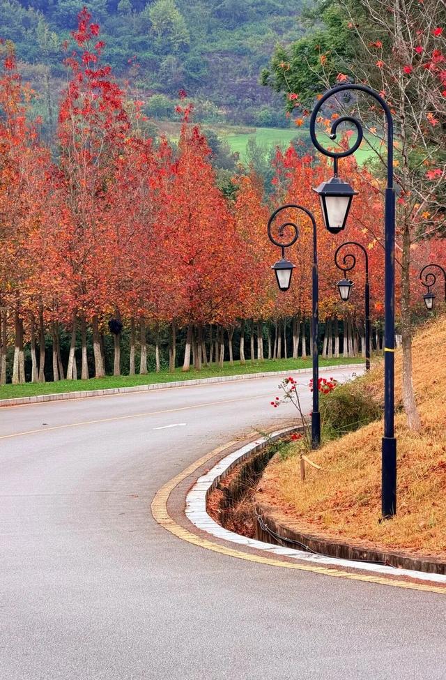 初冬，来安宁玉龙湾这个暖洋洋的图书馆坐一坐吧～