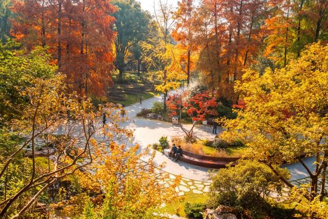 红枫+瀑布！上海市中心免费“斑斓山谷”迎来最美秋景→