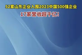 52家山东企业入围2023中国500强企业，17家营收超千亿！图片