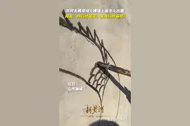 农村大姨用烧火棒墙上画龙火出圈，网友：你们村画完了，来我们村画吧！图片
