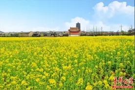 收藏！湖南这些春日赏花宝藏地你都打卡了吗图片