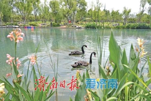 白泉生态修复提升，一场“城泉共生”的生动实践