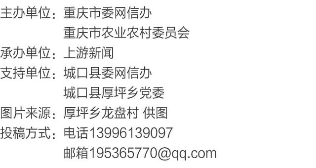 渝见好“村”光 | 城口龙盘村：感受纯净的雪域水墨画，人间值得！