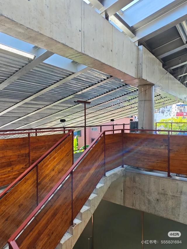 花海走起！湛江秋日限定打卡点！