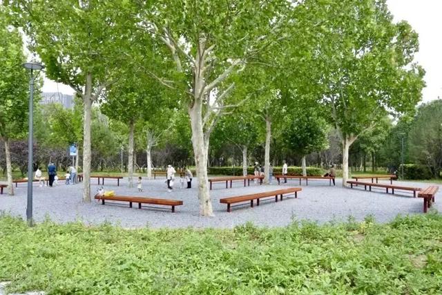 17万平方米绿廊上线！就在——