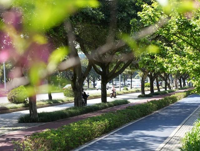 “生”动成都，跟着文学去打卡丨美丽成都，跑起来更有“赶脚”！
