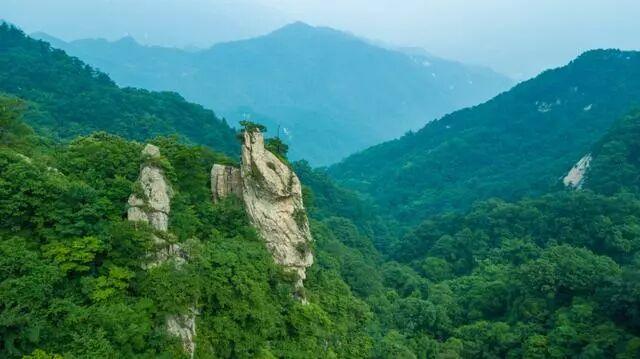 连免4天！洛阳木札岭景区中国旅游日免门票