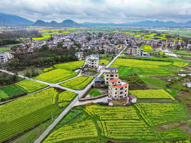 春暖中国｜万物生辉时：鲜花次第开，芬芳入画来