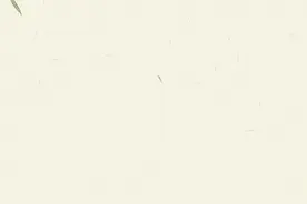 限时特展！原来你是这样的“龙鳞装”！终于看懂了……图片